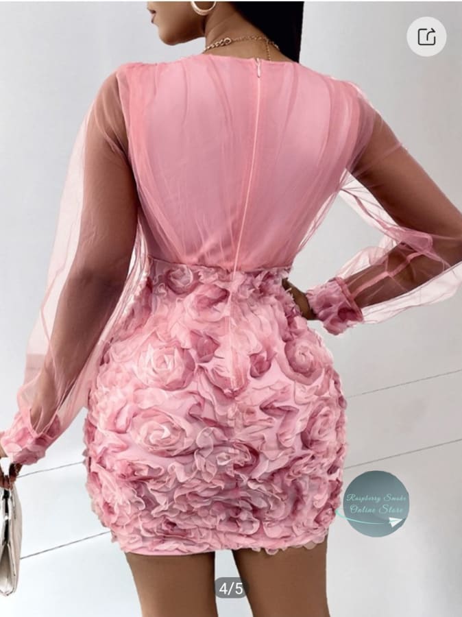 Floral Pattern Sheer Mesh Patch Party Dress
